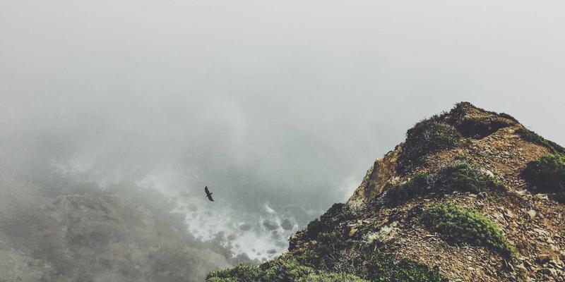 MPLS与SD-WAN深度解析:企业广域网演进路线与选型实战指南