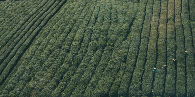 深入浅出QUIC协议：HTTP/3如何基于UDP重塑Web性能与安全