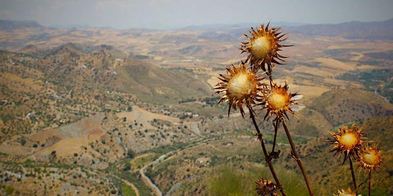 网络身份与访问管理（IAM）演进：从RADIUS到802.1X，再到现代零信任架构的融合之路