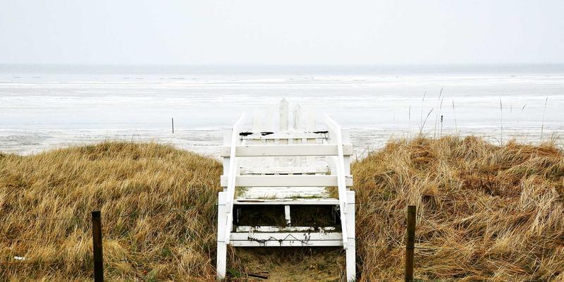 软件定义网络(SDN)入门指南:核心概念、三层架构解析与未来趋势展望